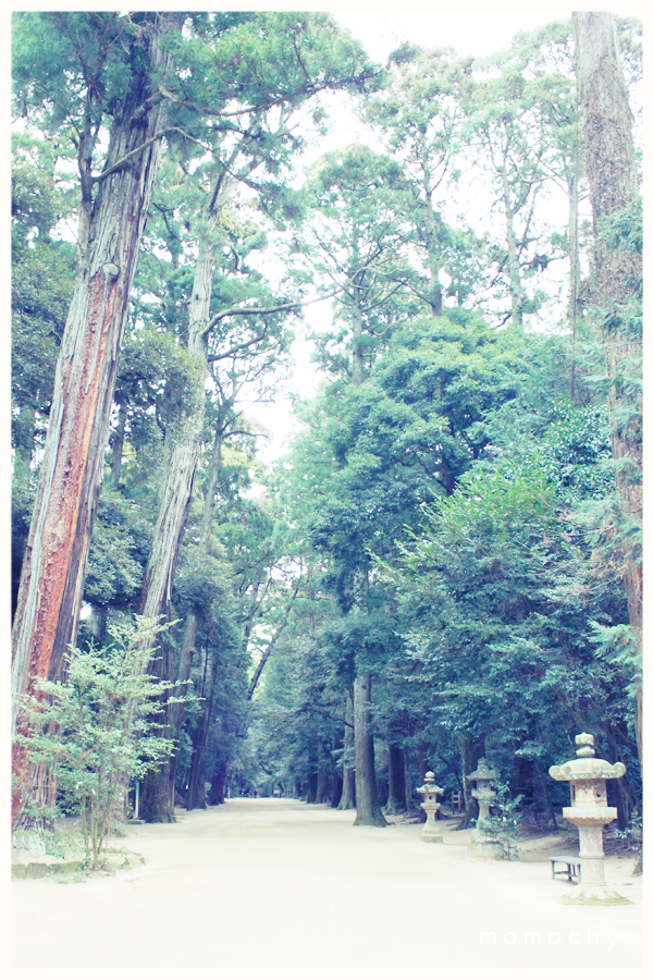 04