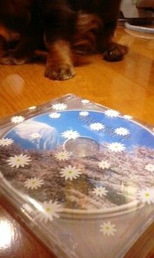 *桃の宝石箱*-090429_1831~0002.jpg