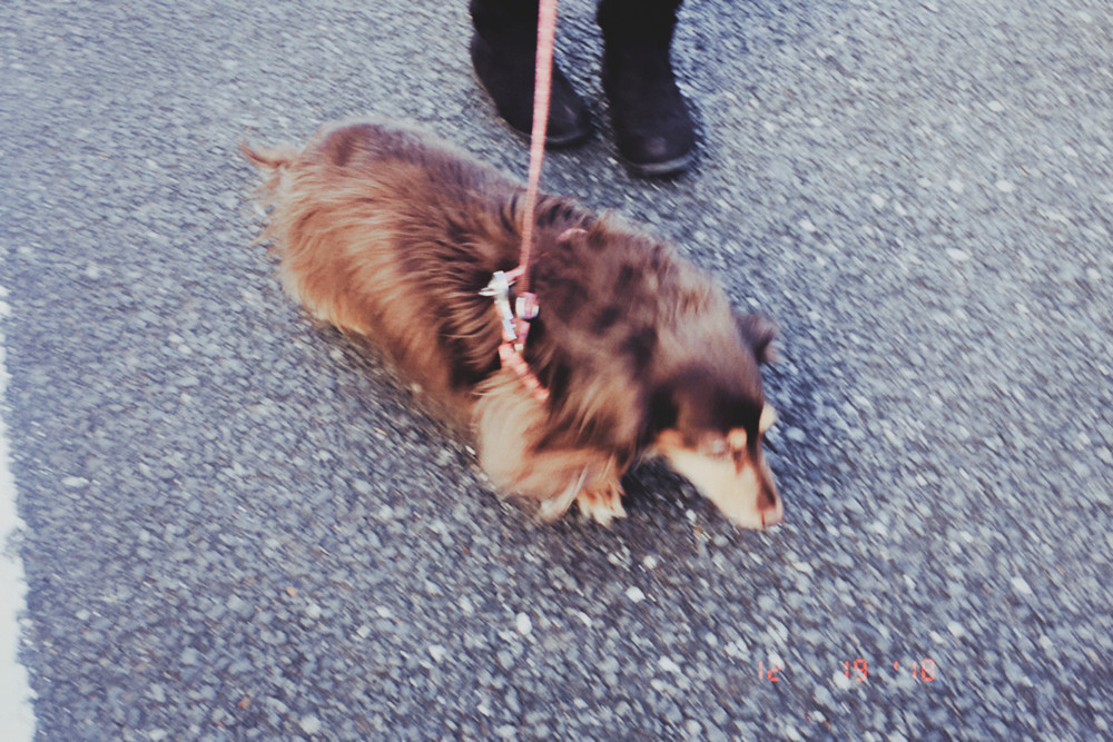 SNSから少し離れた場所のおはなし