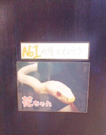 *桃の宝石箱*