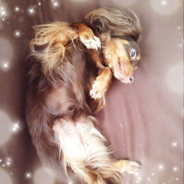 ソファーでごろごろ＊