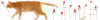 *桃の宝石箱*-20100616_1849266.gif