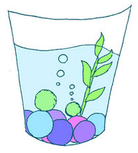 まんまるペットまりも