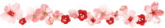 *桃の宝石箱*-ファイル0204.gif
