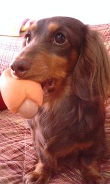 都立一般入試ッ