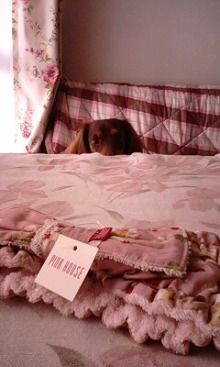 *桃の宝石箱*
