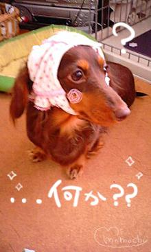 *桃の宝石箱*
