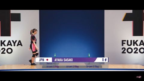 スクリーンショット (3934)