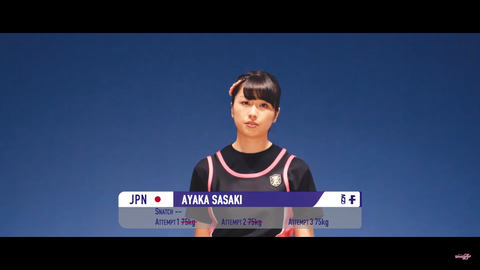 スクリーンショット (3935)