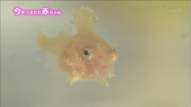 m2014_08_12_d_344_0002