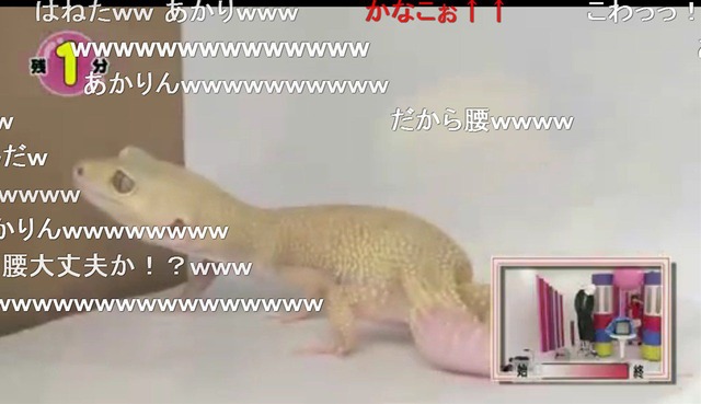 m2012_05_03_b_38_3