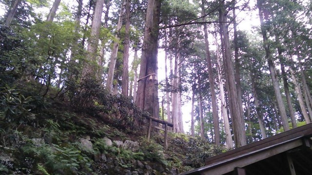 m2014_07_31_lvmcrinnn11302