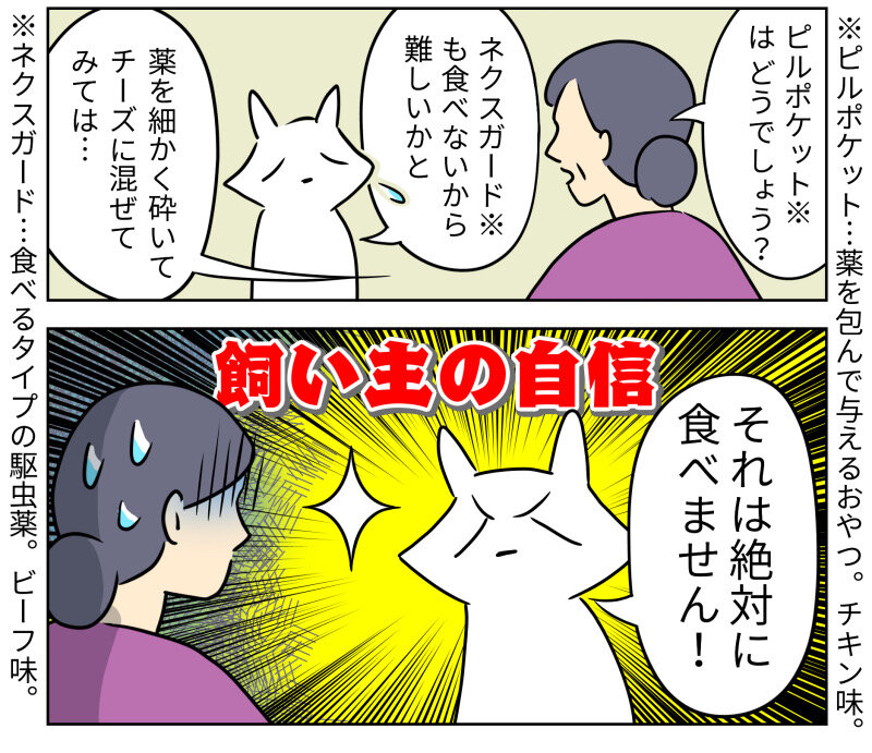 ももえ６才の健康診断 ももえの薬嫌いについて相談してみた ももえの母のいぬむし生活