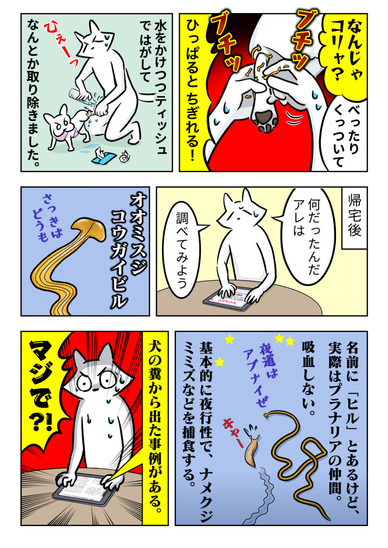 ヘンないきものが ももえの足にひっついた オオミスジコウガイビル ももえの母のいぬむし生活 ヘンないきものが ももえの足にひっついた オオミスジコウガイビル ももえの母のいぬむし生活