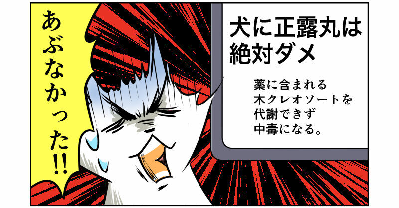 長編 急性腸炎になったももえ ももえの母のいぬむし生活