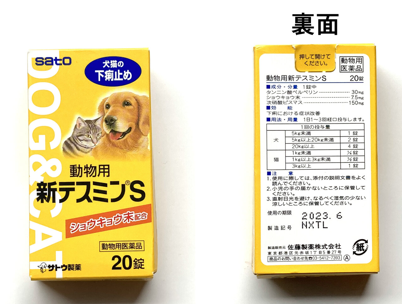 長編 急性腸炎になったももえ ももえの母のいぬむし生活