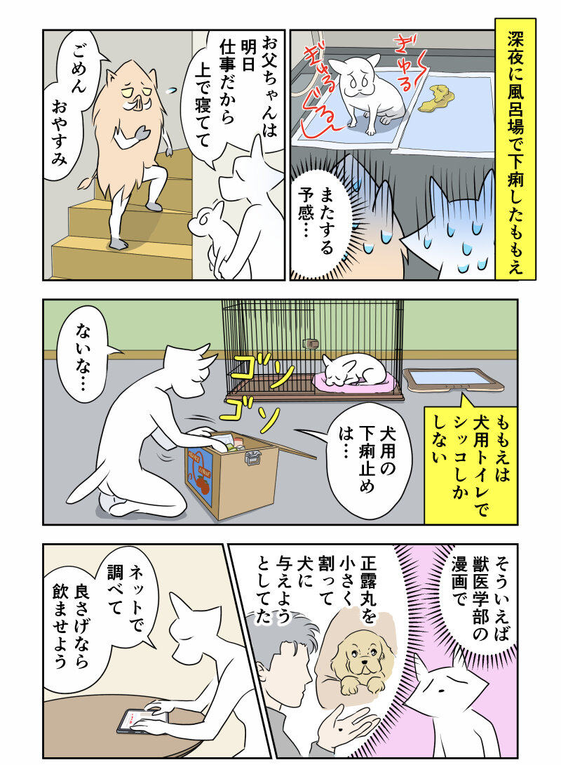 長編 急性腸炎になったももえ ももえの母のいぬむし生活