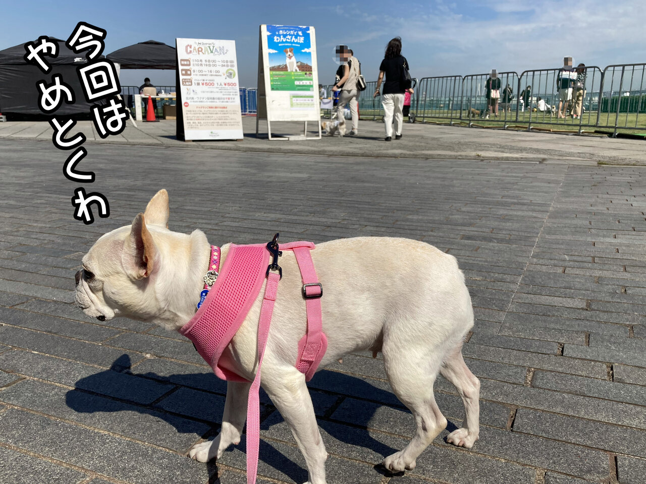 長編 急性腸炎になったももえ ももえの母のいぬむし生活