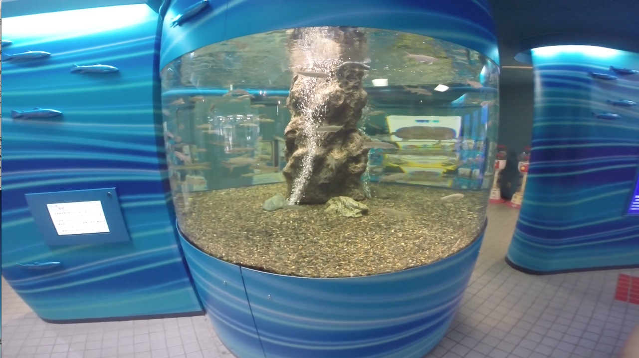 さいたま水族館 俺旅行記 たまに近所 そして犬 さいたま水族館 俺旅行記 たまに近所 そして犬