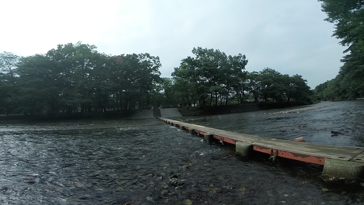 巾着田 俺旅行記 たまに近所 そして犬 巾着田 俺旅行記 たまに近所 そして犬