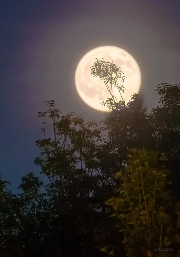 高城 れに ももクロまとめもりー