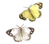 画像をクリックするとウィンドウを閉じます