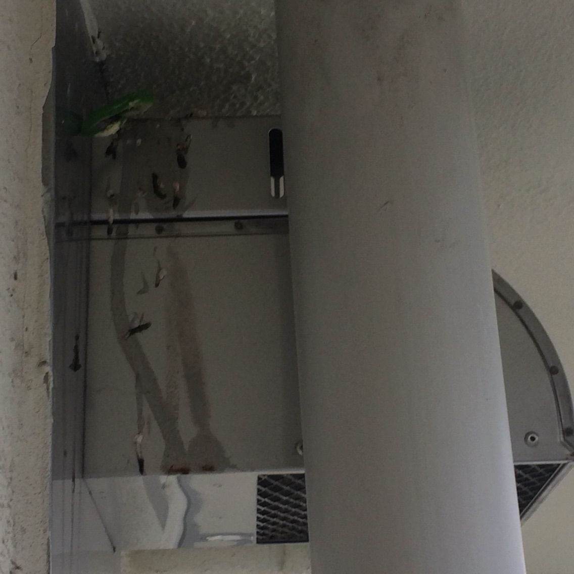 続 ベランダの鳥のフンとの闘い 団地でひとり暮らし