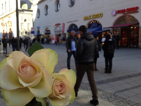 3FFE97F5-E747-4941-8986-8CEF8196E594