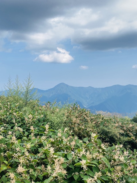 A6EC6506-FE9F-4ED3-9432-F692F9C795D7