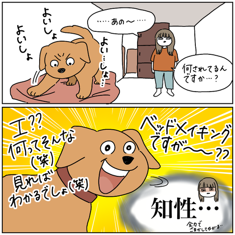7AFD0BD1-F6BD-4142-A8A9-7A70D3E63B29