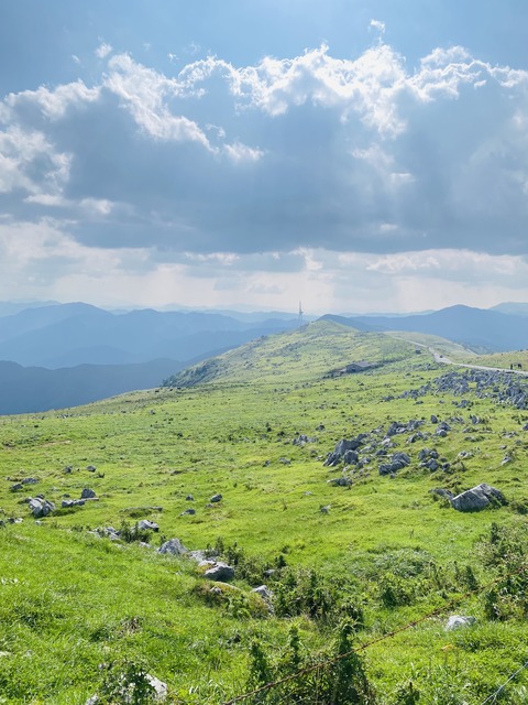 F480B910-D3D8-4CDB-AEE8-CC8DB1018629