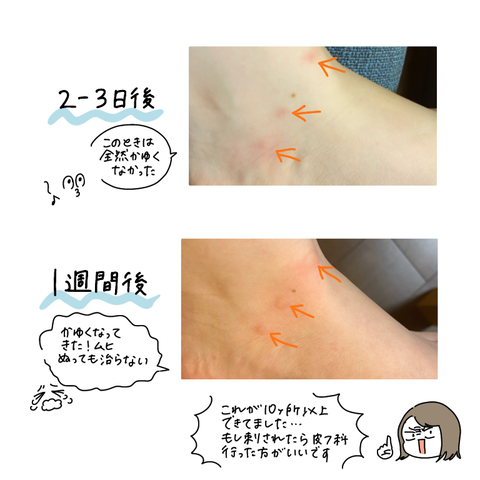 4807DF65-54B1-4D29-B2C2-01B97B2404A0