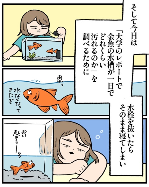 03247A62-C135-491F-A7CD-7FAF626522E5