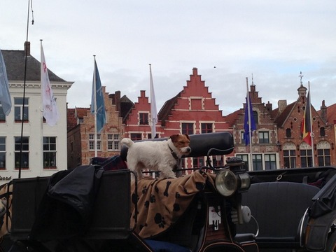 51CF64A9-2DE2-46C5-84C0-555F2D2CA79D