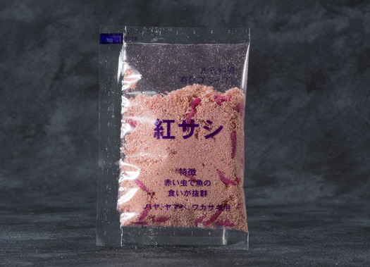 スタジオセッション-1683