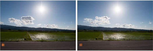 逆光比較