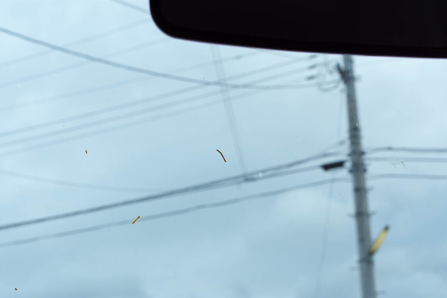 車につく黄色で細長いものの正体は モモンハン日記