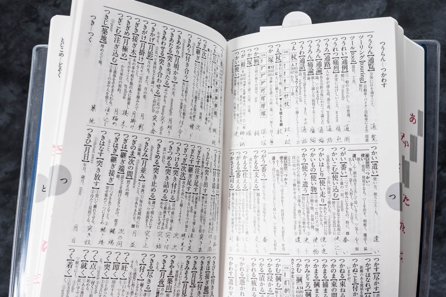 大きな字の常用国語辞典 改訂第四版 レビュー モモンハン日記