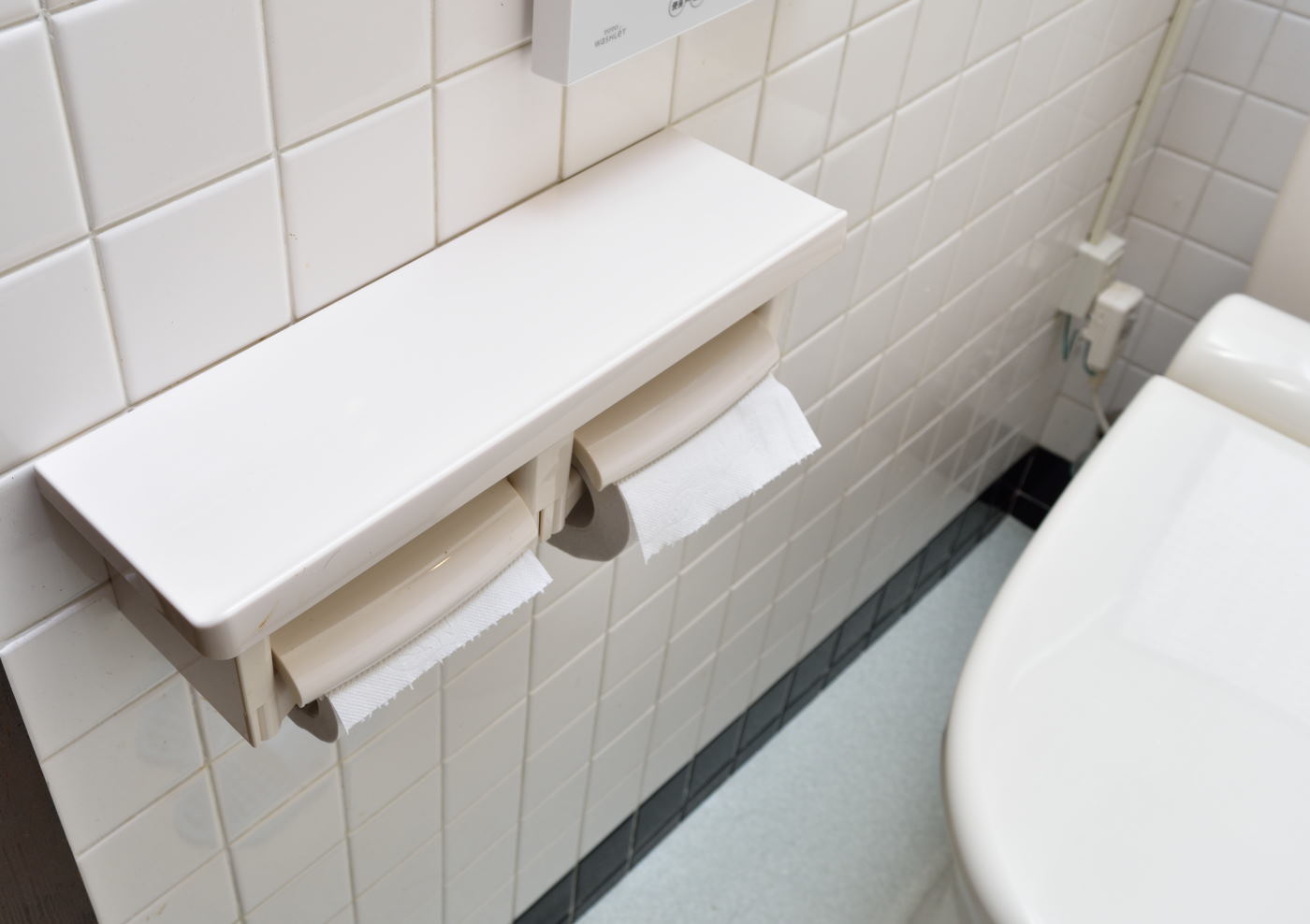 Toto 棚付二連紙巻器 樹脂製棚 ホワイト Yh60n Nw1 レビュー モモンハン日記 Toto 棚付二連紙巻器 樹脂製棚 ホワイト Yh60n Nw1 レビュー モモンハン日記