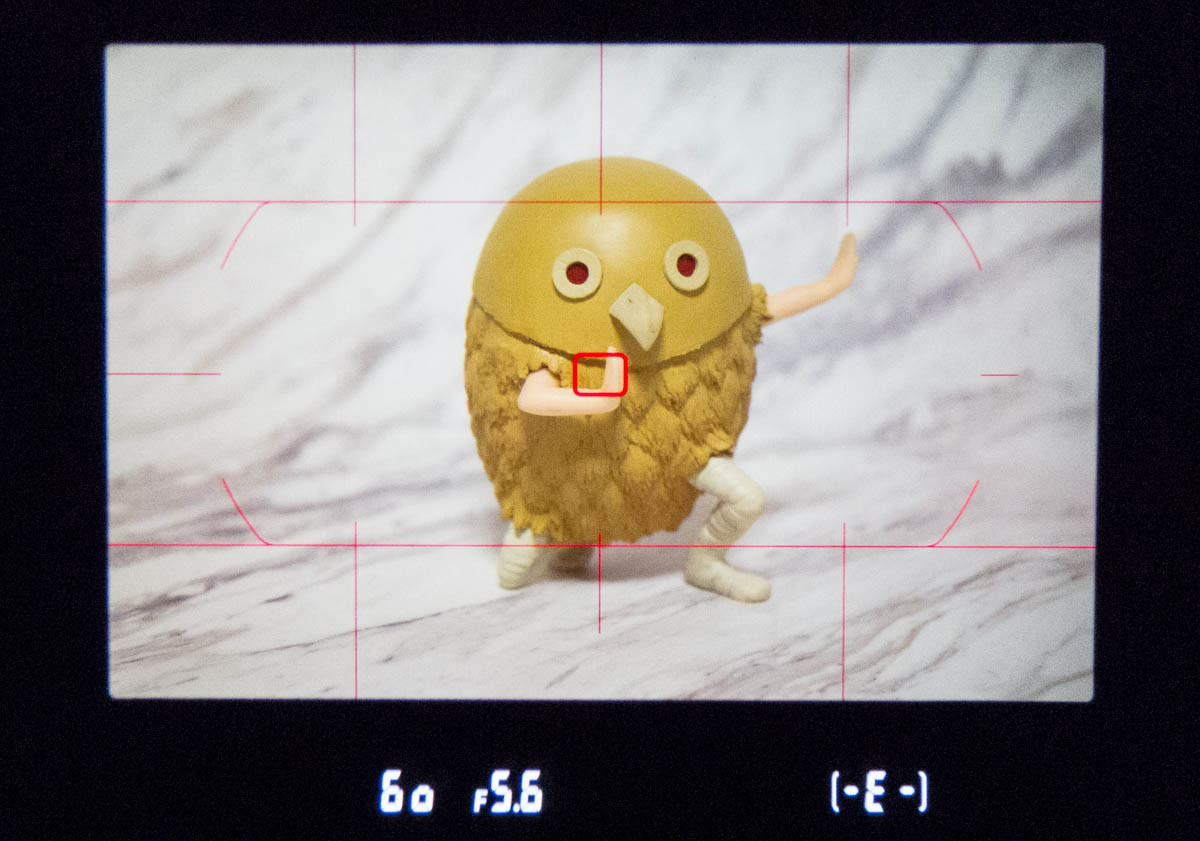 一眼レフのファインダーの中の撮り方 モモンハン日記