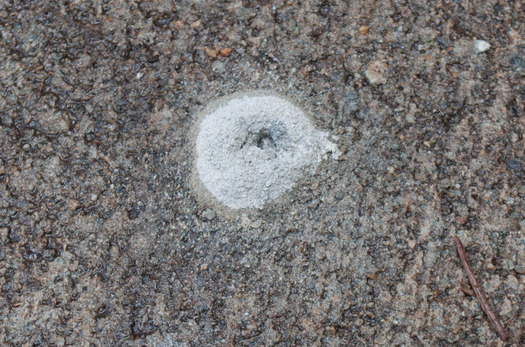 DSC_7961