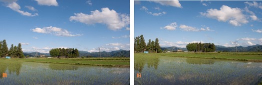 風景比較