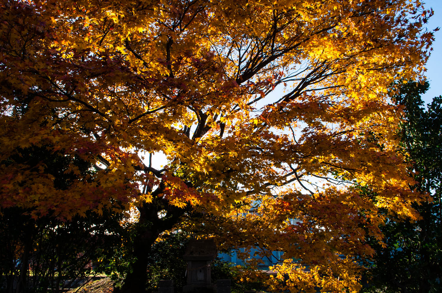 カイジ2 人生奪回ゲーム 感想 モモンハン日記 カイジ2 人生奪回ゲーム 感想 モモンハン日記