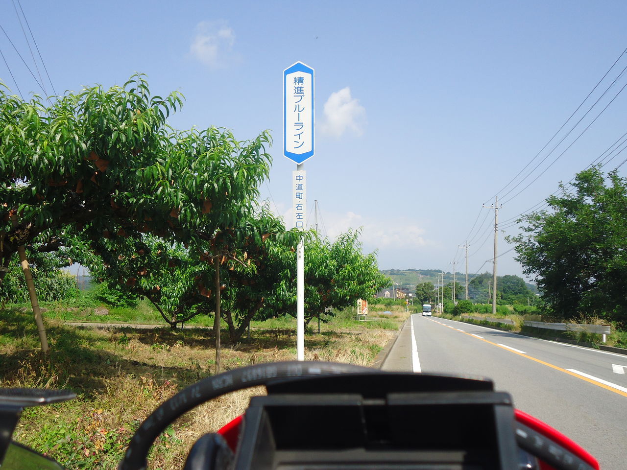 ももんがの飛膜 Xr125l