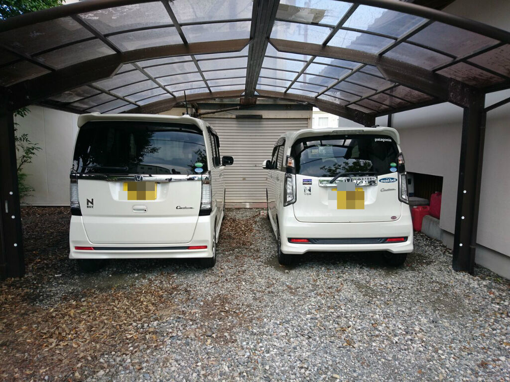 中古車ですが ももんがの飛膜 中古車ですが ももんがの飛膜