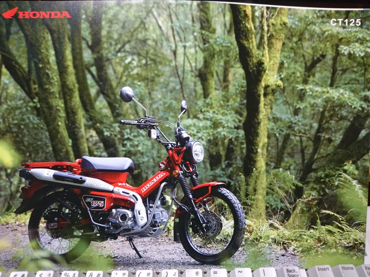 新車 ホンダ ｃｔ１２５ ハンターカブ レッド 原付二種 川口輪業