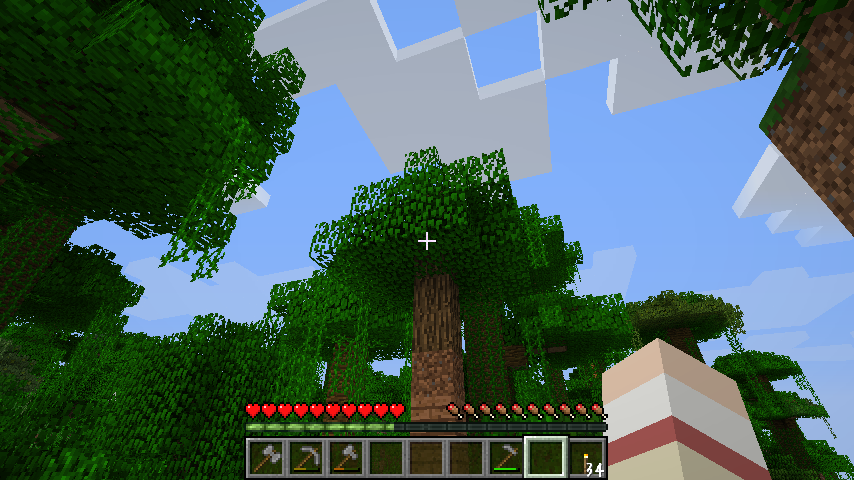 鉄鉱石ほしい 洞窟探検 にゃんこ好きのminecraft日記 鉄鉱石ほしい 洞窟探検 にゃんこ好きのminecraft日記
