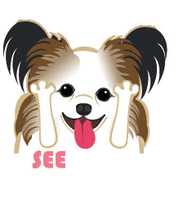 足が短い犬 笑 パピヨン ブログ ももたんちの実生活 足が短い犬 笑 パピヨン ブログ ももたんちの実生活