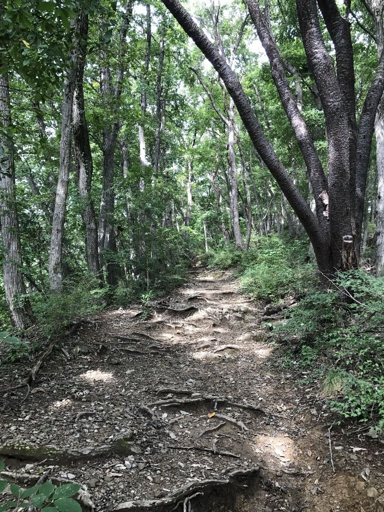 んちぴょんのblog 初心者トレッキング