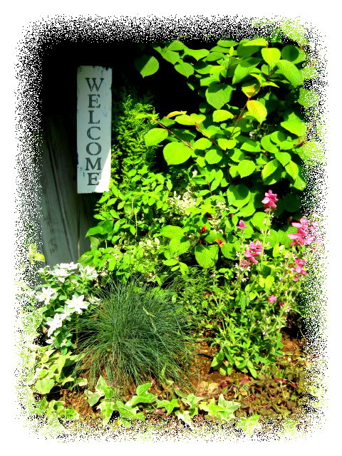 .P*J* 's  Home & Garden